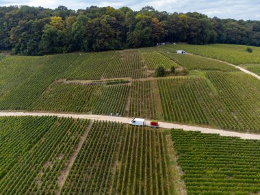 Aerial view on grand cru vineyards near Cramant and Avize, region Champagne, France. Cultivation and harvesting of white chardonnay wine grape on chalky soils of Cote des Blancs clipart