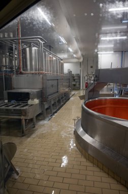 Fruitiere Fransız peyniri üretim çiftliği, tekerlek yapımı sabah işleri, çiğ inek sütünden Comte peyniri, Franche-Comte, Jura, Fransa