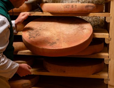 Cheese check in aging rooms with many shelves in caves, central location for aging of wheels, rounds of Comte cheese from four months to several years made from unpasteurised cow milk, Jura, France clipart