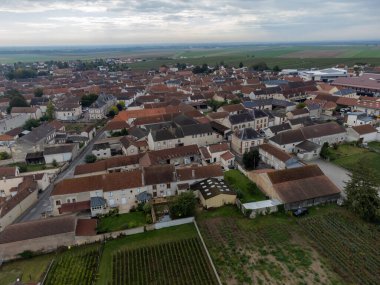 Fransa, Champagne bölgesindeki Ambonnay ve Bouzy yakınlarındaki Grand Cru üzüm bağlarında hasat zamanı. Beyaz Chardonnay ve siyah pinot şarabı üzümleri, üzüm bağlarında hava manzarası.