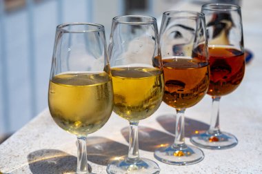 Sherry fino, manzanilla, kremalı Jeremy Sevilla 'nın eski Triana semtinin çatısında Sevilla evleri ve kiliseleri gören şarap kadehleri, şarap kadehleri, şarap kadehleri