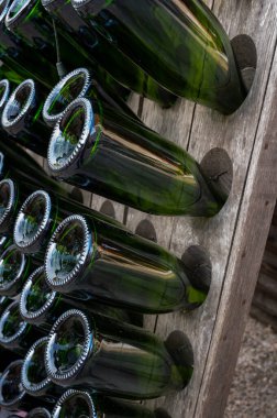Büyük Cru köyü Ambonnay, Champagne, Fransa 'da eski bir şampanya yetiştiricisi ve üreticisinin ziyareti. Boş şampanya şişeleri ahşap pupitre bulmaca raflarında