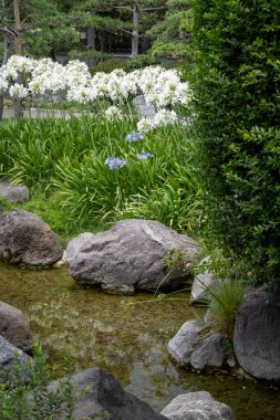 Peyzaj şehir tasarımı, Japonya 'da taşlarla, bonsai çam ağaçları, çiçekler, küçük köprüler, Monte-Carlo şehrinin merkezine su dökülüyor.