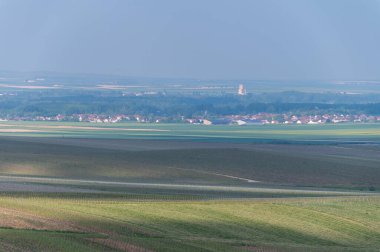 Cramant yakınlarında yeşil büyük cru üzüm bağları olan bahar manzarası, Fransa 'nın Şampanya Bölgesi, Avize Bölgesi. Cote des Blanc 'ın kireçli topraklarında beyaz şarap üzümü yetiştiriyorum..
