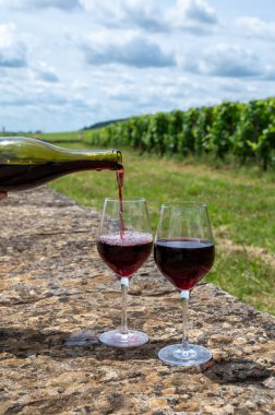 Tasting of red pinot noir wine on grand cru vineyards with cross and stone walls in Cote de nuits, making of famous red and white Burgundy wine in Burgundy region, Vosne-Romanee village, France clipart