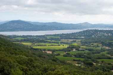 Yukarıdan Fransız Rivierası manzarası, tepeler, evler ve yeşil üzüm bağları Cotes de Provence, Saint-Tropez yakınlarındaki gül şarabı üretimi, Gassin, Pampelonne plajı, Var, Fransa