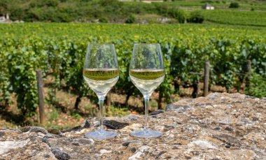 Tasting of high quality white dry rare wine made from Chardonnay grapes on grand cru classe vineyards near Puligny-Montrachet village, Burgundy, France clipart