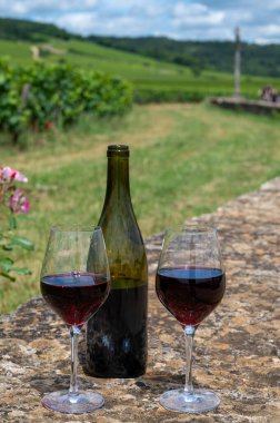 Cote de nuits 'de haç ve taş duvarları olan Grand Cru üzüm bağlarında kırmızı pinot şarabı tatmak, Burgundy bölgesinde ünlü kırmızı ve beyaz Burgundy şarabı yapmak, Vosne-Romanee köyü, Fransa