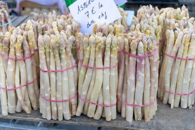 Fresh raw white asparagus vegetables for sale in local farmers market in Souillac, Dordogne, France. English translation: 1 kg bunches asparagus and prices clipart