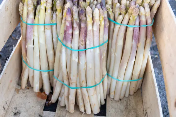 Souillac, Dordogne, Fransa 'daki yerel çiftçi pazarında satılık taze çiğ, pembe kuşkonmaz sebzeleri. Payrignac 'ta yerel üretilen 1 kg deste