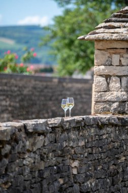 Fransa 'nın Burgundy kentindeki Puligny-Montrachet köyünde yeşil üzüm bağları örülmüş. Grand Cru sınıfı üzüm bağlarında Chardonnay üzümlerinden yapılan kaliteli beyaz şarap.