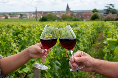 Drinking of red pinot noir wine on grand cru vineyards with cross and stone walls in Cote de nuits, making of famous red and white Burgundy wine in Burgundy region, Vosne-Romanee village, France clipart