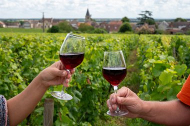 Drinking of red pinot noir wine on grand cru vineyards with cross and stone walls in Cote de nuits, making of famous red and white Burgundy wine in Burgundy region, Vosne-Romanee village, France clipart