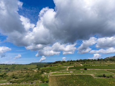 Fransa, Burgundy 'deki Puligny-Montrachet köyünün çevresindeki yeşil üzüm bağları. Chardonnay üzümlerinden yapılan kaliteli beyaz şarap Grand Cru sınıfı üzüm bağlarında, hava manzaralı.