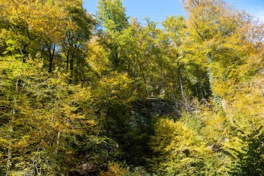 Scenic diversity of Mullerthal, Luxembourg's Little Switzerland, Schiessentumpel Cascade and river hiking routes, rock formations, forests, tourist destination in Europe clipart