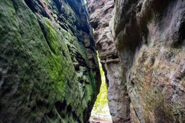 Mullerthal, Lüksemburg 'un Küçük İsviçre' si, yürüyüş yolları, kaya oluşumları, yosun kaplı ormanlar, Avrupa 'daki turizm beldeleri