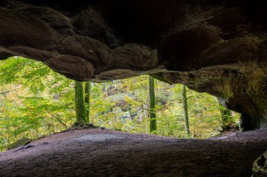 Mullerthal, Lüksemburg 'un Küçük İsviçre' si, yürüyüş yolları, kaya oluşumları, yosun kaplı ormanlar, Avrupa 'daki turizm beldeleri