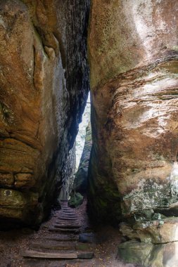 Mullerthal, Lüksemburg 'un Küçük İsviçre' si, yürüyüş yolları, kaya oluşumları, yosun kaplı ormanlar, Avrupa 'daki turizm beldeleri