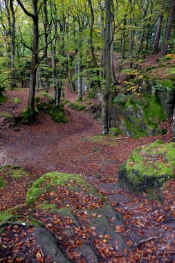 Mullerthal, Lüksemburg 'un Küçük İsviçre' si, yürüyüş yolları, kaya oluşumları, yosun kaplı ormanlar, Avrupa 'daki turizm beldeleri