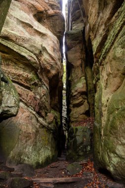 Scenic nature diversity of Mullerthal, Luxembourg's Little Switzerland, hiking routes, rock formations, moss-covered forests, tourist destination in Europe clipart