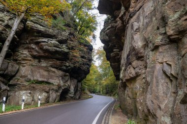 Scenic nature diversity of Mullerthal, Luxembourg's Little Switzerland, hiking routes, rock formations, moss-covered forests, tourist destination in Europe clipart