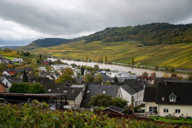 Nittel, Rhineland-Palatinate, Almanya çevresindeki teraslı üzüm bağlarının ve Machtum, Lüksemburg 'daki üzüm bağlarının sonbaharda Moselle Nehri boyunca uzanan manzarası.