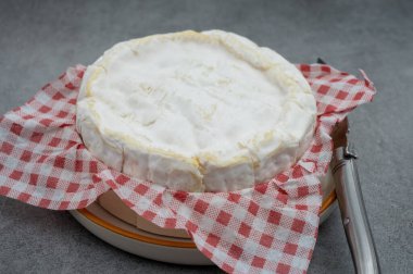 Fransız peyniri, orijinal Camembert de Normandie peyniri, beyaz küfle kaplayın.