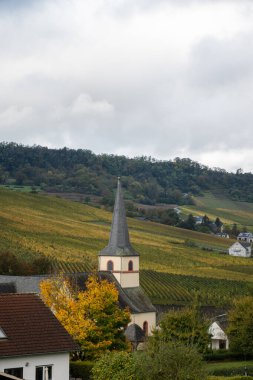 Nittel, Rhineland-Palatinate, Almanya çevresindeki teraslı üzüm bağlarının panoramik manzarası ve sonbaharda Grevenmacher yakınlarındaki Lüksemburg 'un üzüm bağlarındaki Moselle Nehri boyunca manzarası