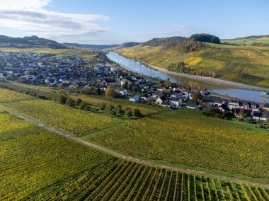 Nittel, Rhineland-Palatinate, Almanya çevresindeki teraslı üzüm bağlarının ve sonbaharda Grevenmacher yakınlarındaki Lüksemburg 'un üzüm bağı tepelerindeki Moselle Nehri' nin manzarası.