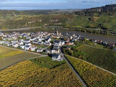 Aerial view of terraced vineyards around Nittel, Rhineland-Palatinate, Germany and views across Moselle River on vineyard hills of Machtum, Luxembourg in autumn clipart