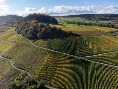 Nittel, Rhineland-Palatinate, Almanya çevresindeki teraslı üzüm bağlarının ve Machtum, Lüksemburg 'daki üzüm bağlarının sonbaharda Moselle Nehri boyunca uzanan manzarası.