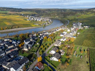 Nittel, Rhineland-Palatinate, Almanya çevresindeki teraslı üzüm bağlarının ve Machtum, Lüksemburg 'daki üzüm bağlarının sonbaharda Moselle Nehri boyunca uzanan manzarası.