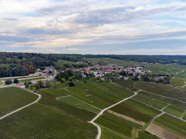 Eylül 'de Hautvillers, Cumieres, Marne River Valley, Champange, Fransa yakınlarındaki yeşil başbakan cru şampanya bağları ve tarlalarına panoramik hava manzarası