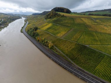 Nittel, Rhineland-Palatinate, Almanya çevresindeki teraslı üzüm bağlarının ve Machtum, Lüksemburg 'daki üzüm bağlarının sonbaharda Moselle Nehri boyunca uzanan manzarası.