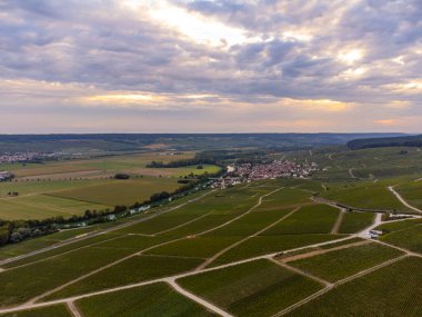 Eylül 'de Hautvillers, Cumieres, Marne River Valley, Champange, Fransa yakınlarındaki yeşil başbakan cru şampanya bağları ve tarlalarına panoramik hava manzarası