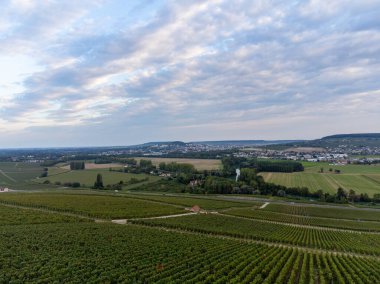 Eylül 'de Hautvillers, Cumieres, Marne River Valley, Champange, Fransa yakınlarındaki yeşil başbakan cru şampanya bağları ve tarlalarına panoramik hava manzarası