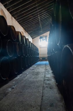 Eski Endülüs şarap mahzeninde solera sistemleri, fıçılarda yıllanmış şarap, sono, manzanilla, olorosso, amontillado jerez güçlendirilmiş şarap, Sanlucar de Barrameda, Cadiz, Endülüs, İspanya