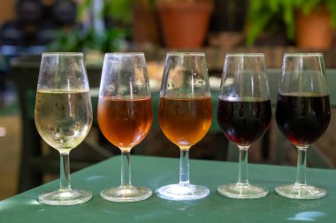 Beş fıçı şarap, fino, manzanilla, olorosso, amontillado, pedro ximenez jerez şarapları eski meyhanede, şarap tatma, Sanlucar de Barrameda, Cadiz, Endülüs, İspanya