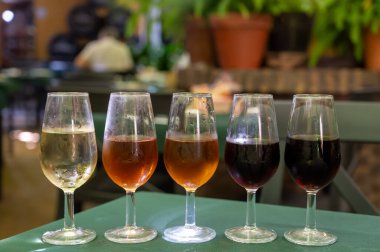 Beş fıçı şarap, fino, manzanilla, olorosso, amontillado, pedro ximenez jerez şarapları eski meyhanede, şarap tatma, Sanlucar de Barrameda, Cadiz, Endülüs, İspanya