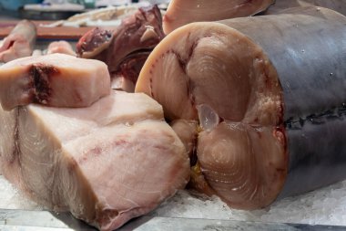 Assortment of fresh ocean daily catch of tuna, cazon, sharks, fish, prawns, seashells, molluscs on ice on fish market in Jerez de la Frontera, Andalusia, Spain clipart