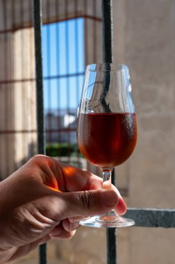Bir bardak şeri fino, manzanilla, şarap, palomino beyaz üzümleri ve arka planda Endülüs vitrinlerinden güçlendirilmiş şarap, Jerez de la Frontera, İspanya