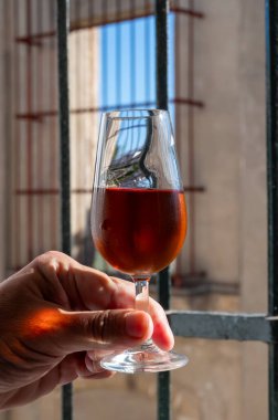 Bir bardak şeri fino, manzanilla, şarap, palomino beyaz üzümleri ve arka planda Endülüs vitrinlerinden güçlendirilmiş şarap, Jerez de la Frontera, İspanya