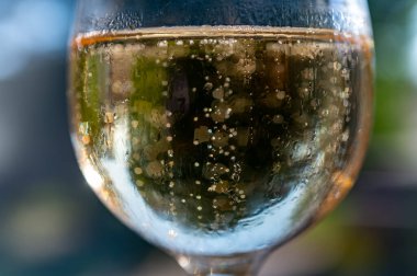 Bir sürü köpüklü Fransız şampanyası, köpüklü altın köpükler, İspanyol kava şarabıyla parti.