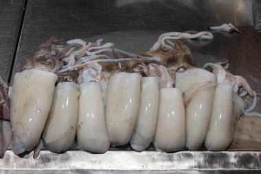 Assortment of fresh ocean daily catch of white Spanish chocos cuttlefish, on ice on fish market in Jerez de la Frontera, Andalusia, Spain clipart