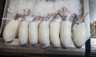 İspanya, Endülüs 'te Jerez de la Frontera' da balık pazarında buzda taze okyanus balığı yakalamak için günlük taze balık avı.