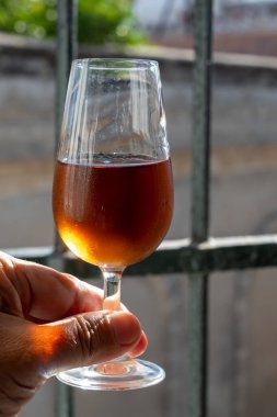 Bir bardak şeri fino, manzanilla, şarap, palomino beyaz üzümleri ve arka planda Endülüs vitrinlerinden güçlendirilmiş şarap, Jerez de la Frontera, İspanya