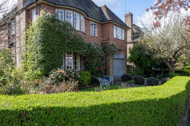 Kuzey Londra sokaklarında yürümek, baharda kırmızı tuğlalı evler ve çiçek açan bahçeler, şehir hayatı, Mart ayında Londra, İngiltere 'de zengin mahalleler.