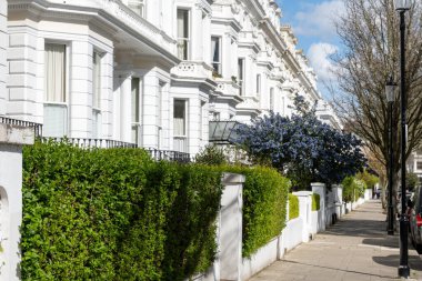 Notting Hill, baharda beyaz evler ve çiçek açan bahçelerle sokaklarda yürümek, şehir hayatı, ilkbaharda Londra, İngiltere 'de varlıklı mahalleler.