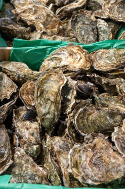 Farklı boyutlarda taze canlı istiridye Fine de Claire pazar salonunda yenmeye hazır, yakın plan, istiridye çiftliği köyü, Arcachon körfezi, Gujan-Mestras, Bordeaux, Fransa