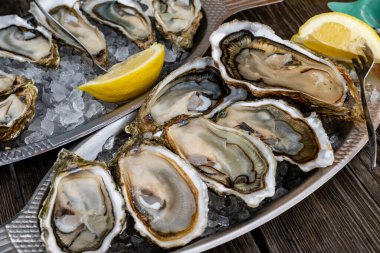 Fransa 'nın Gujan-Mestras limanındaki Arcachon körfezi istiridye çiftliği köyündeki restoranda taze çiğ istiridye, deniz kabuğu, liman, ekmek, tereyağı ve beyaz şarapla servis edilen tabaklar.